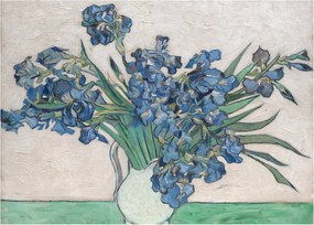 Tablou pe sticlă - Vincent van Gogh, Irises, reproducere (70x50 cm)