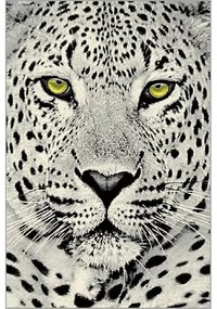 Covor Kolibri 11368-190 Leopard Selectează mărime: 200 X 300