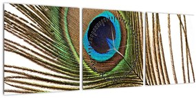 Tablou cu pene de păun (cu ceas) (90x30 cm)