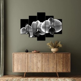 Tablou floare de orhidee (150x105 cm)