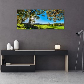 Tablou Privire la câmp (120x50 cm)