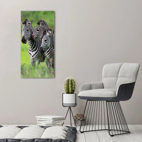 Tablou Printat Pe Sticlă trei zebre