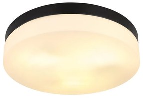 Plafoniera pentru exterior design modern IP44 Vranos negru, opal 30cm