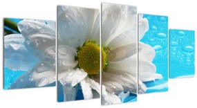 Tablou - margaretă floare (150x70cm)