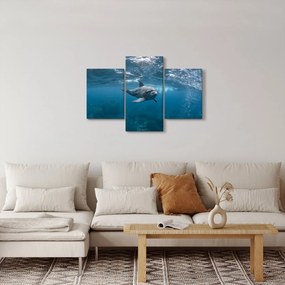 Tablou - Delfin sub apă (90x60 cm)