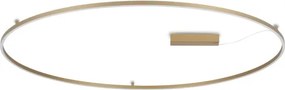 Ideal Lux - Plafonieră LED ORACLE SLIM, 81 W/230 V, Ø 150 cm, culoare: auriu