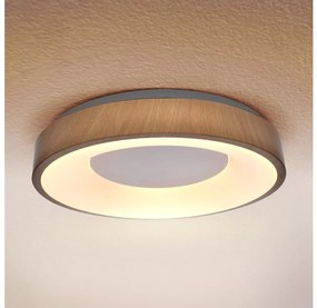 Plafonieră LED Brilagi DORIA LED/24W/230V