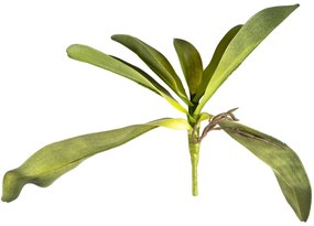 Frunză artificială de orhidee, cu rădăcini, 30 cm