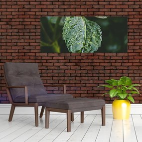 Tablou - picături pe frunză (120x50 cm)