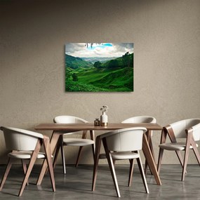 Tablou pe sticlă Plantații de ceai - Malaezia (70x50 cm)