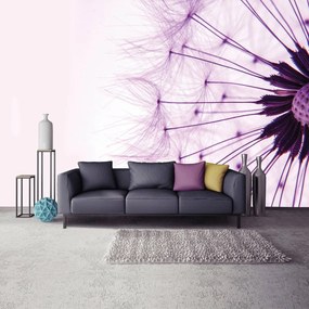 Fototapet - Păpădie - violetă (254x184 cm)