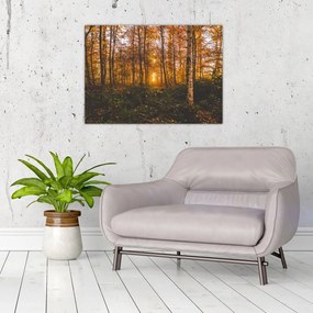 Tablou pe sticlă - Pădurea toamna (70x50 cm)