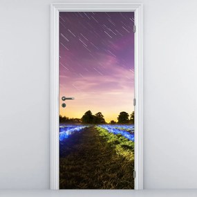 Fototapet pentru ușă - Câmp colorat (95x205cm)