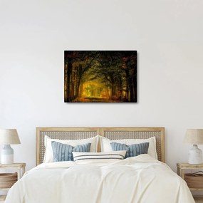 Tablou cu pădure (70x50 cm)