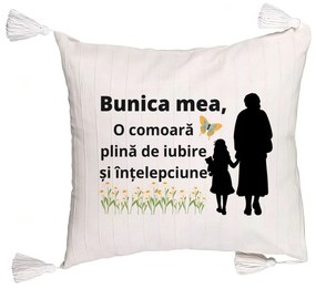 Perna Decorativa cu Franjuri pentru Bunica 18, 45x45 cm, Cu fermoar