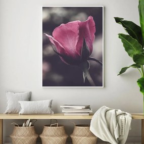 Poster - Floarea de trandafir (A4)