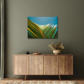 Tablou - Frunze de palmier (70x50 cm)