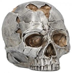 Statueta craniu Fracture 11 cm
