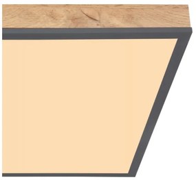 Plafonieră LED DORO LED/24W/230V Globo 416080WD2