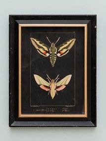 Set 2 tablouri, "Butterfly"