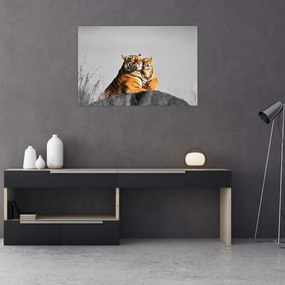 Tablou - Tigroaica cu pui, versiunea alb-negru (90x60 cm)