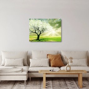 Tablou pe sticlă cu copaci pe luncă (70x50 cm)