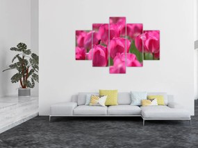 Tablou - Lalele roz (150x105 cm)