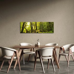 Tablou junglei cu mușchi (cu ceas) (90x30 cm)