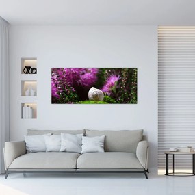 Tablou - Cochilie de melc (120x50 cm)