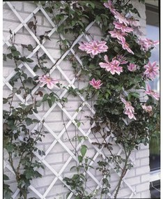 Nature Gard de gradina tip Trellis, 50 x 150 cm PVC, alb, 6040701 1, Alb, 50 x 150 cm