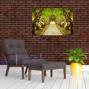 Tablou - Tunel viu din plumeria (90x60 cm)