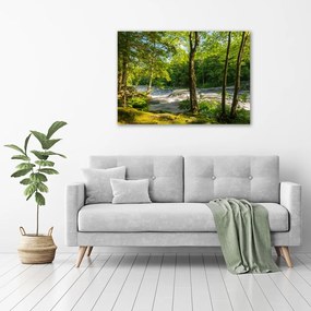 Print pe canvas Râul în pădure