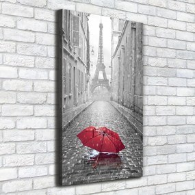 Pictură pe pânză Umbrelă Franța