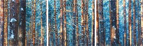 Tablou - Pădurea iarna (cu ceas) (90x30 cm)