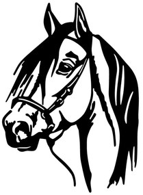 Decorațiune de perete 55x40 cm metal cal