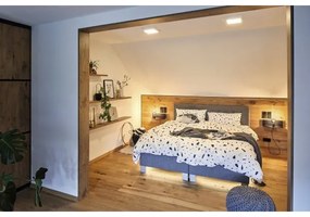 Plafonieră LED/13W CARPO 230V 2300/2500/3000K Paulmann 79801