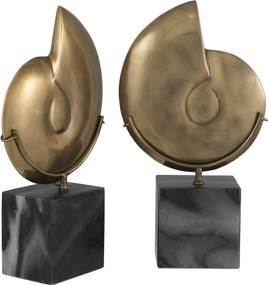 Set 2 obiecte decorative design deosebit LUX Ammonite 113731 HZ