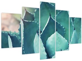 Tablou - Suculent (150x105 cm)