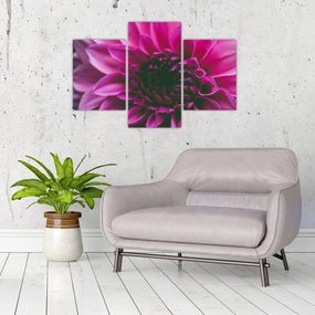 Tablou cu floarea roz (90x60 cm)