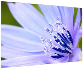 Tablou - Floare (90x60 cm)