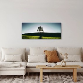 Tablou cu natura - copac (120x50 cm)
