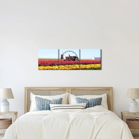 Tablou cu farma de lalele (cu ceas) (90x30 cm)