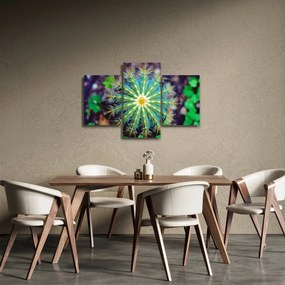 Tablou cu cactus (90x60 cm)