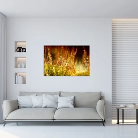 Tablou - Detaliu rouă (90x60 cm)