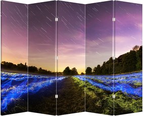 Paravan - Câmp colorat (210x170 cm)