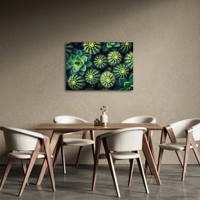 Tablou - Cactuși (70x50 cm)