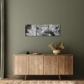 Tablou - mulțime de păpădii (cu ceas) (90x30 cm)