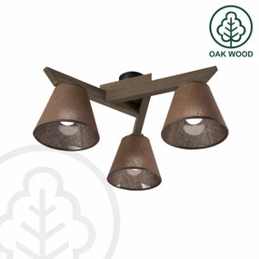 Lustră LED aplicată Brilagi ANTHONY 3xE14/40W/230V stejar nuc/maro