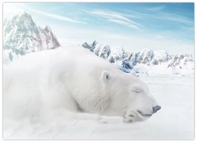 Tablou pe sticlă - Urs polar (70x50 cm)