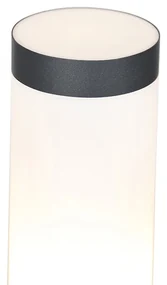 Stâlp de exterior antracit 80 cm IP44 - Rox